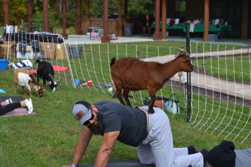 GOAT YOGA 2023 11