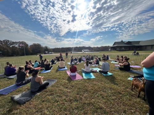 GOAT YOGA FOR FB